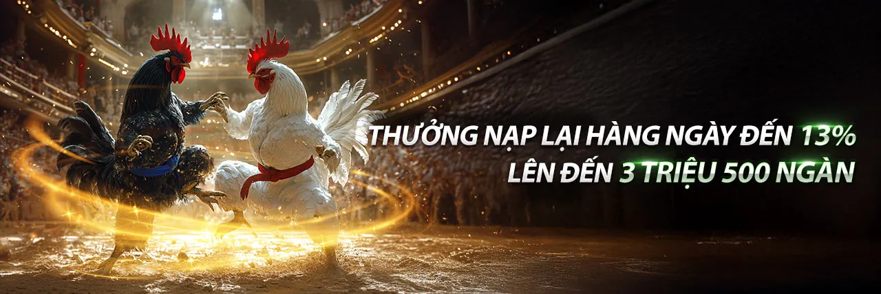 Hình ảnh minh họa chính sách quyền riêng tư của OK365 Login