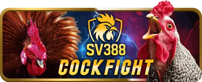 Mẹo chơi Blackjack ok365 login